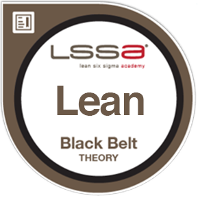 Lean Black Belt Certificering Examen